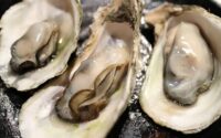 Gourmetoplevelser ved havet: Skaldyrsaften i marielyst